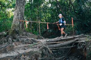 BIB: 
                            <button type="button" onclick="openModal(27747510)" class="btn btn-primary btn-sm float-right btn-popup" data-toggle="modal" data-target=".modal-high-quality">
                        <i class="fas fa-shopping-cart"></i> Add to Cart
                    </button>
                                            <button type="button" onclick="isThisMe(27747510, true)" class="btn btn-success btn-sm float-right btn-popup btn-isme hidden" data-toggle="tooltip" data-placement="bottom" title="นี่คือรูปของคุณใช่ไหม คลิกที่นี่เพื่อเอาเข้าอัลบั้ม">
                        <i class="fas fa-plus"></i> Add to album
                    </button>
                    <button type="button" onclick="isThisMe(27747510, false)" class="btn btn-warning btn-sm float-right btn-popup btn-isnotme hidden">
                        <i class="fas fa-ban"></i> Remove from album
                    </button>